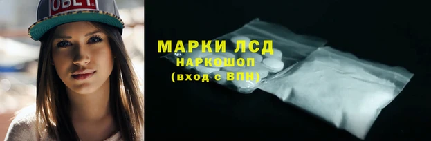 ГАЛЛЮЦИНОГЕННЫЕ ГРИБЫ Алексин