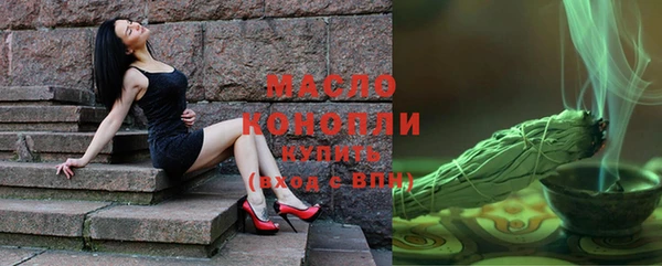 шишки Осинники